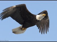 Personal Photography